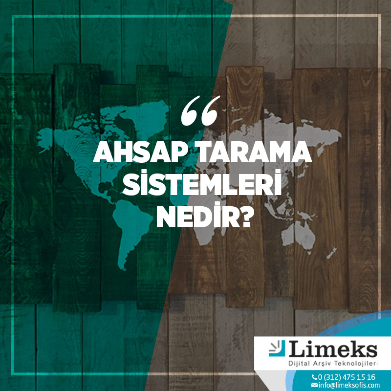 Ahşap Tarama Sistemleri Nedir?
